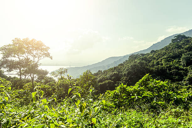 istock The mountain in sunshine 471461112