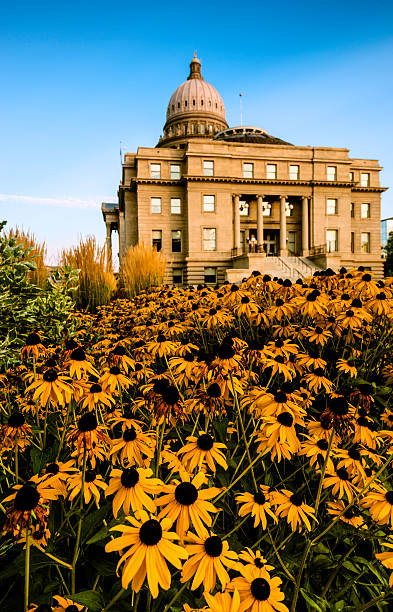 айдахо государственный капитолий, бойсе - idaho boise summer flower стоковые фото и изображения