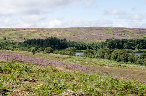 Cтоковое фото Север Yorkshire Moors Озеро