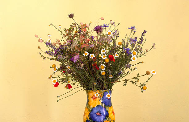 istock Bouquet of wild flowers 471461804