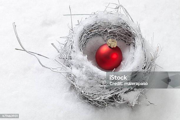 Nest In The Snow With Christmas Ball Stock Photo - Download Image Now - Bird, Snow, Animal Egg