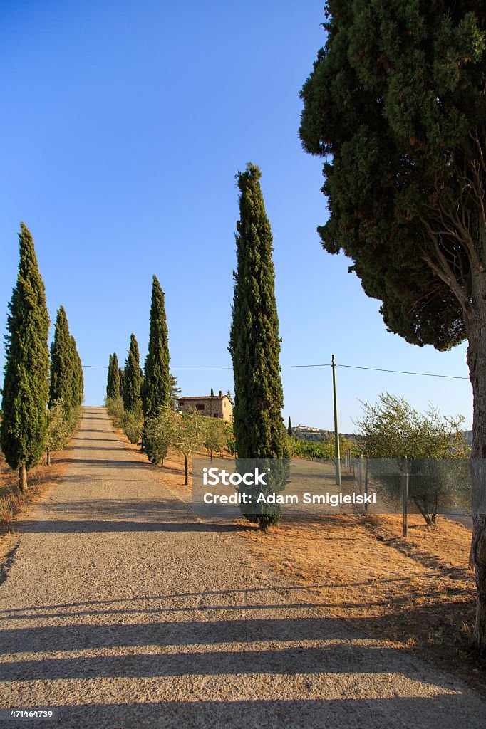 Toscana - Foto de stock de Agricultura royalty-free