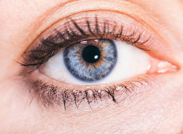 istock close up beautiful women blue eye whis makeup 471466831