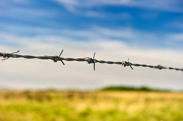 istock Close up of barbed wire 471467151
