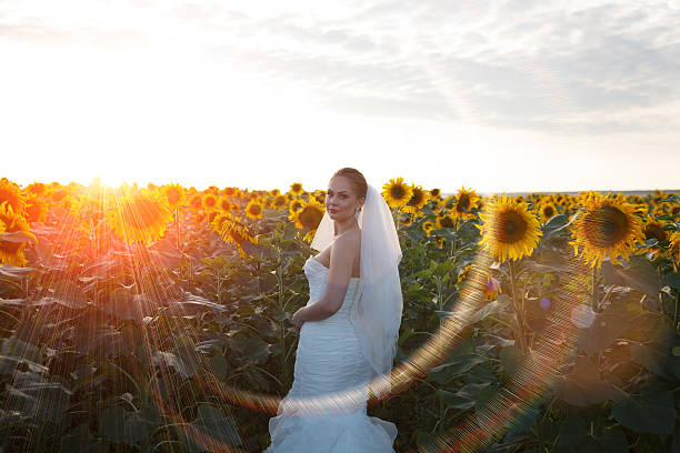 hermosa novia. - cut flowers women field single flower fotografías e imágenes de stock