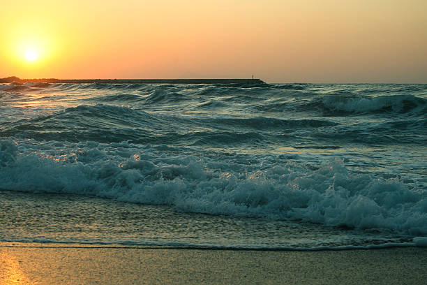 Sea in the sunset. 