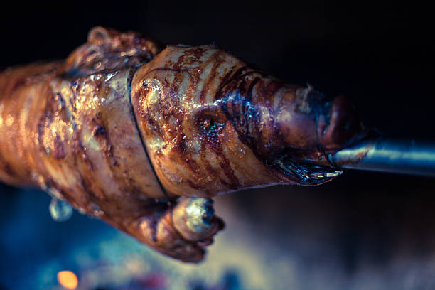 malvaviscos cerdito detalle - spit roasted roasted roast pork domestic pig fotografías e imágenes de stock