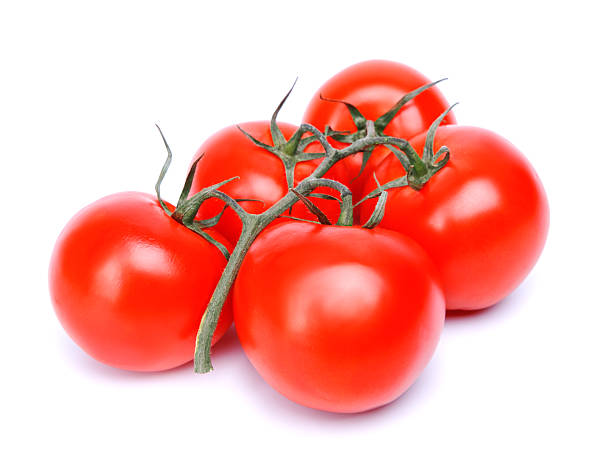 istock branch of tomatoes 471468482