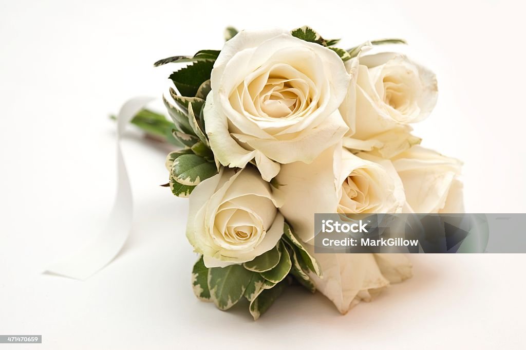 Rosas brancas - Foto de stock de Amor royalty-free