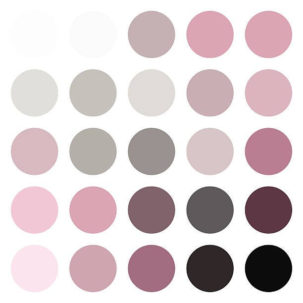 Circle Round Pink and Grey Color Swatches as Shades vector art illustration