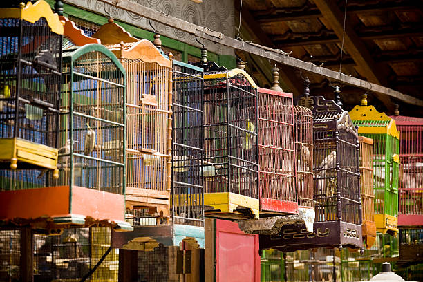 istock bird cage asian market yogyakarta java indonesia 471473083