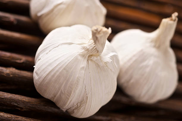 Garlic stock photo