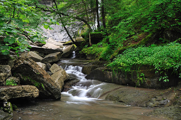 istock Dry Creek in Fillmore Glen State Park 471474841