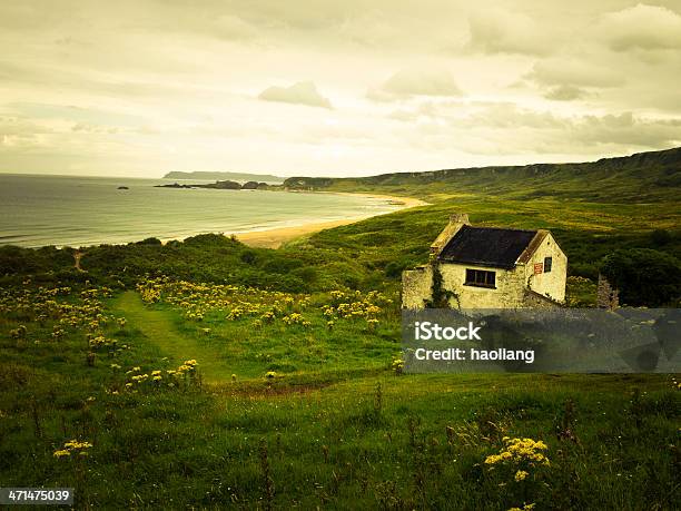 Irish Paesaggio - Fotografie stock e altre immagini di Scena rurale - Scena rurale, Casetta di campagna, Irlanda del Nord