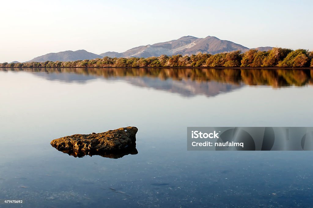 Kalba lagoon with mountains in background, UAE Mangrove Forest Stock Photo