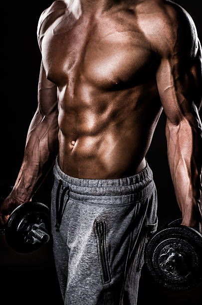 muscolare uomo corpo con pesi - body building human muscle male body foto e immagini stock