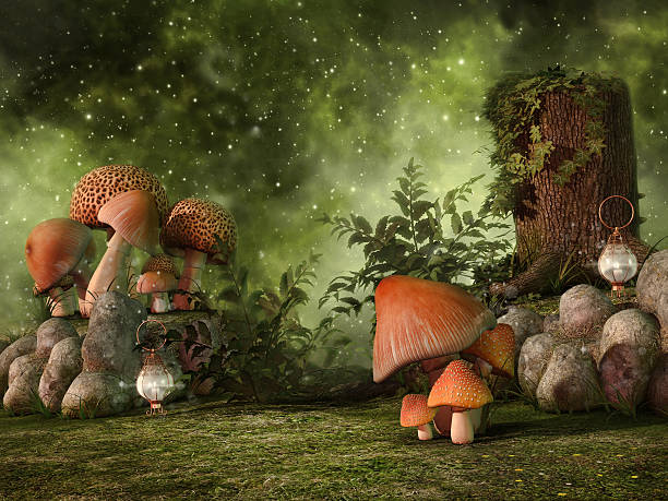 istock Mushrooms and rocks on a meadow 471479212