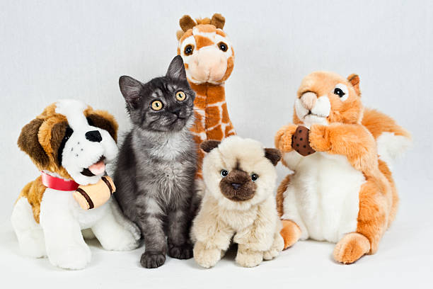 toy cuddly cat