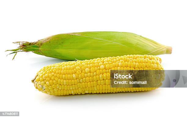 Corn Sobre Un Fondo Blanco Foto de stock y más banco de imágenes de Alimento - Alimento, Crudo, Fotografía - Imágenes