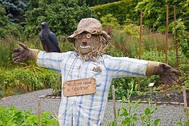 Scarecrow in Pollok Park stock photo