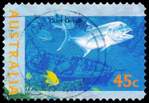 A Stamp printed in AUSTRALIA shows the Giant Trevally, \