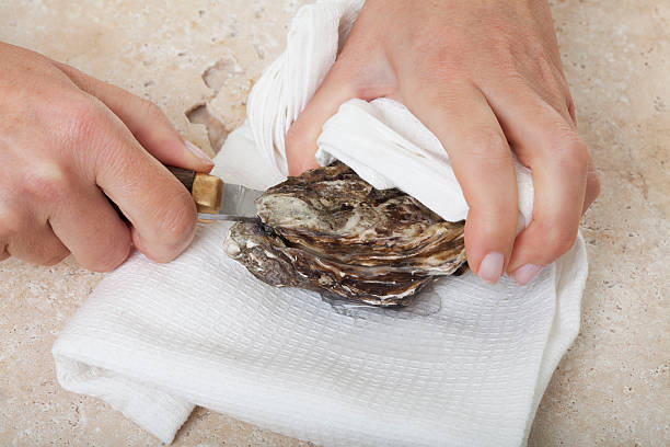 opening an oyster stock photo