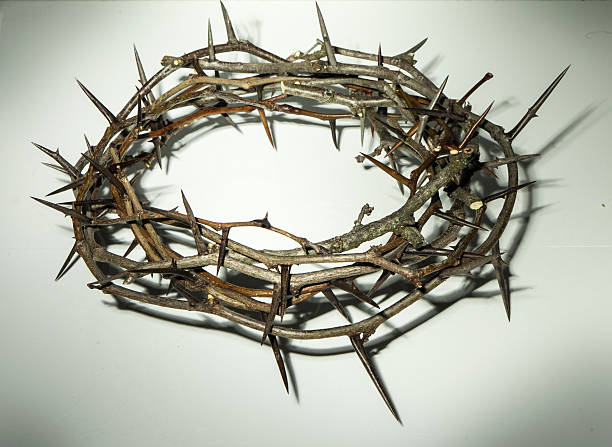 istock Crown of thorns 471485296