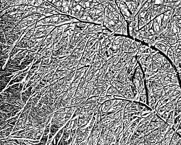 Vector illustration of Background Texture Branches and Snow