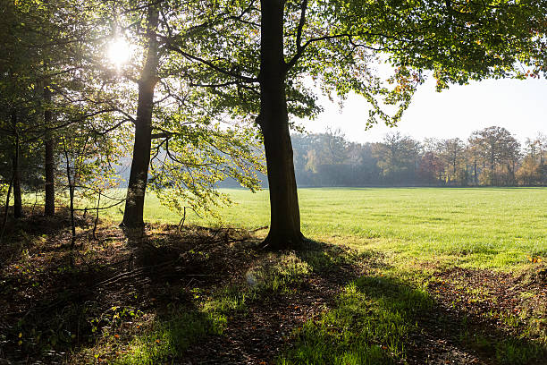 Autumn Landscape stock photo