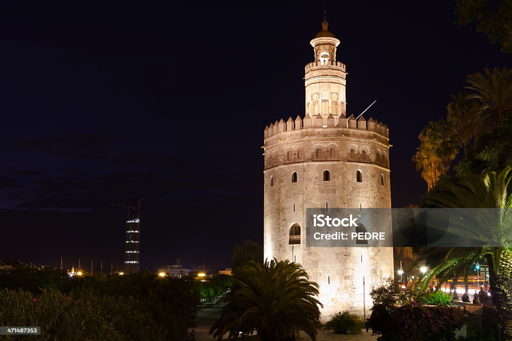 Torre del Oro, Sewilli w nocy. - Zbiór zdjęć royalty-free (Andaluzja)