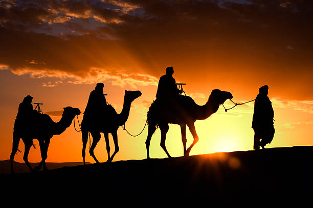 Camel caravan in Morocco Camel caravan in Morocco camel train stock pictures, royalty-free photos & images