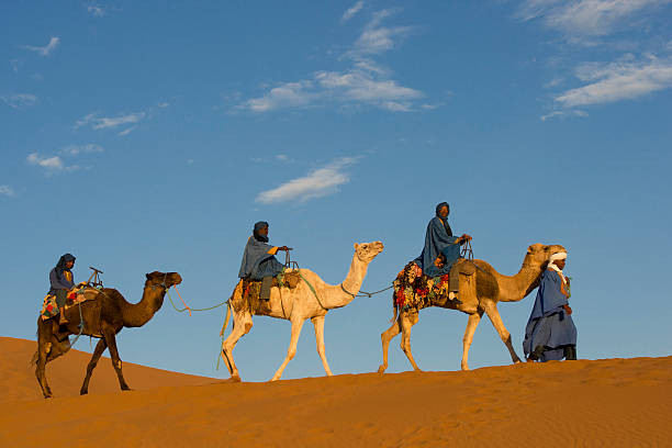 istock Camel Caravan in the Sahara Desert 471487851