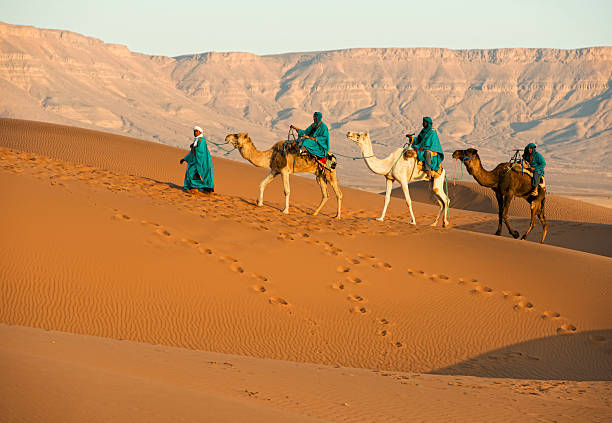 istock Camel Caravan in the Sahara Desert 471487867