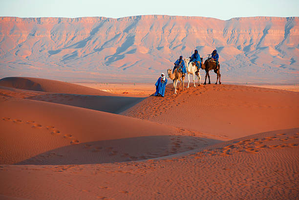 istock Camel Caravan in the Sahara Desert 471487871