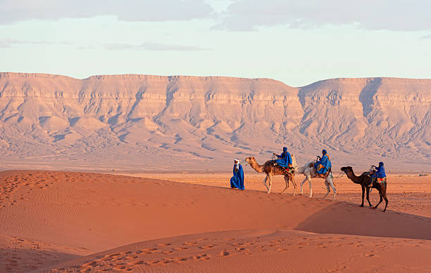 carovana di cammelli nel deserto del sahara - morocco desert camel africa foto e immagini stock