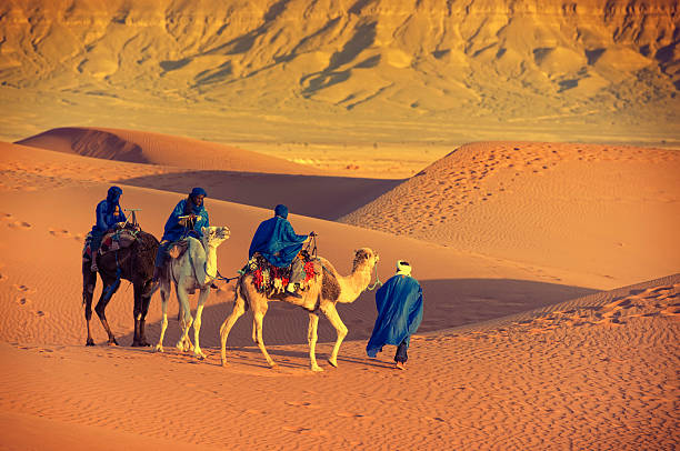 istock Camel Caravan in the Sahara Desert 471487877