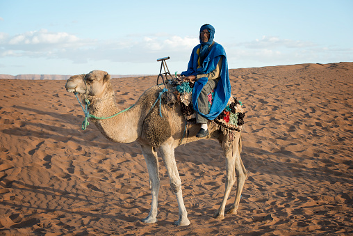 bedouin and a camel.