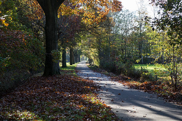 Single Land Road Autumn Landscape stock photo