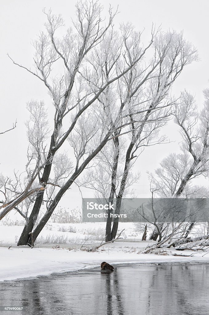 winter-Landschaft in Havelbrücke (Deutschland) - Lizenzfrei DDR Stock-Foto