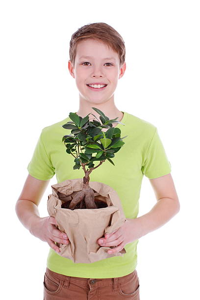 Teenage boy holding a little tree isolated