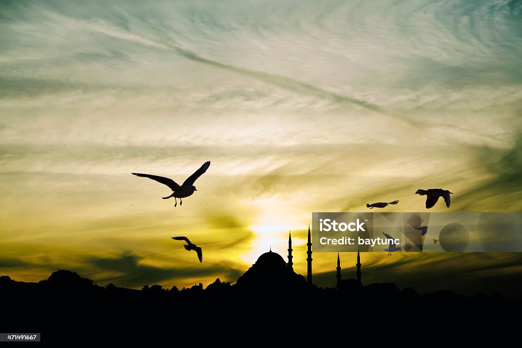 Закат на İstanbul - Стоковые фото Суфизм роялти-фри