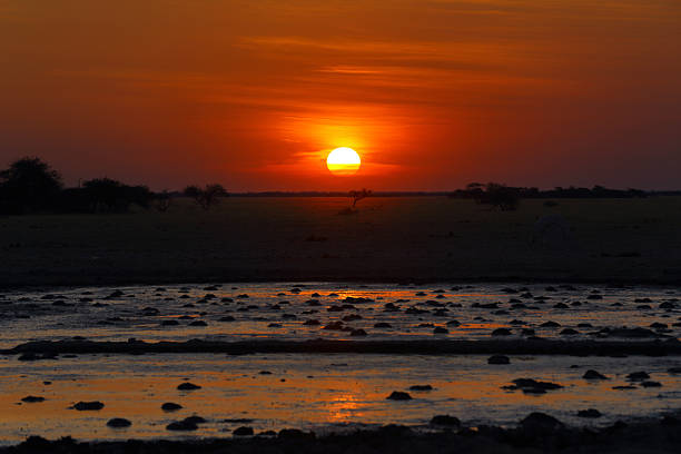 istock Sunset at the waterhole in Nxai Pan NP 471492403