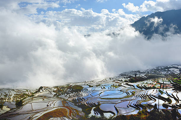 le ciel bleu, les nuages blancs et terrasses - agriculture artificial yunnan province china photos et images de collection