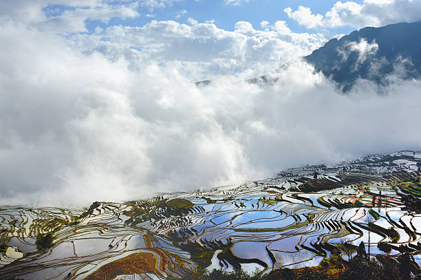 céu azul, nuvens brancas e terraces - agriculture artificial yunnan province china imagens e fotografias de stock