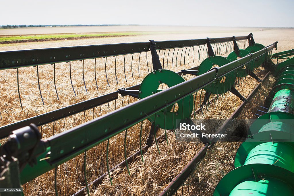 Combine Combine to harvesting 2015 Stock Photo