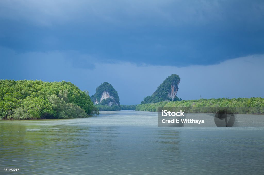 Piękny Egzotyczny river - Zbiór zdjęć royalty-free (Azja)