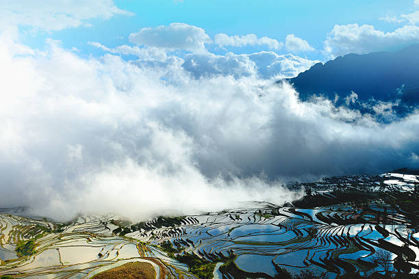 nuvens e terraces - agriculture artificial yunnan province china imagens e fotografias de stock