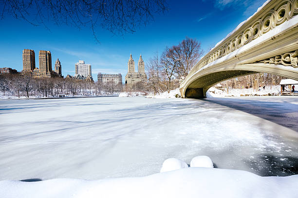 istock Snowy Central Park New York 471494929