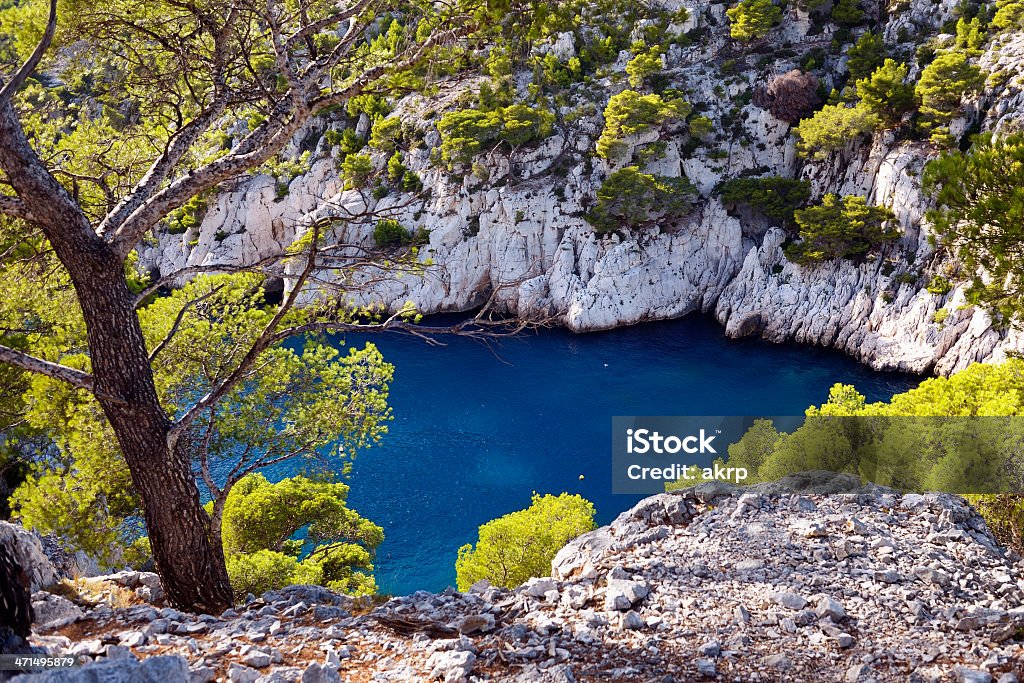 Pine Tree Riviera Blue Lagoon At French Riviera Stock Photo - Download Image Now - Bay of ...