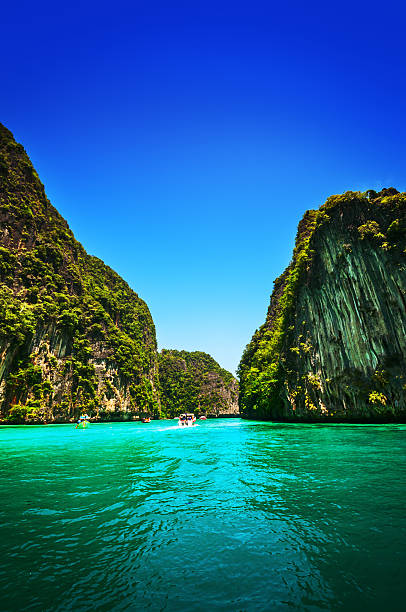 maya bay ko phiphi le en tailandia - phuket province beach blue cliff fotografías e imágenes de stock